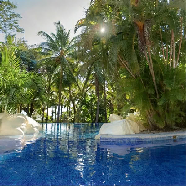 The Inner well retreat: Costa Rica 2027