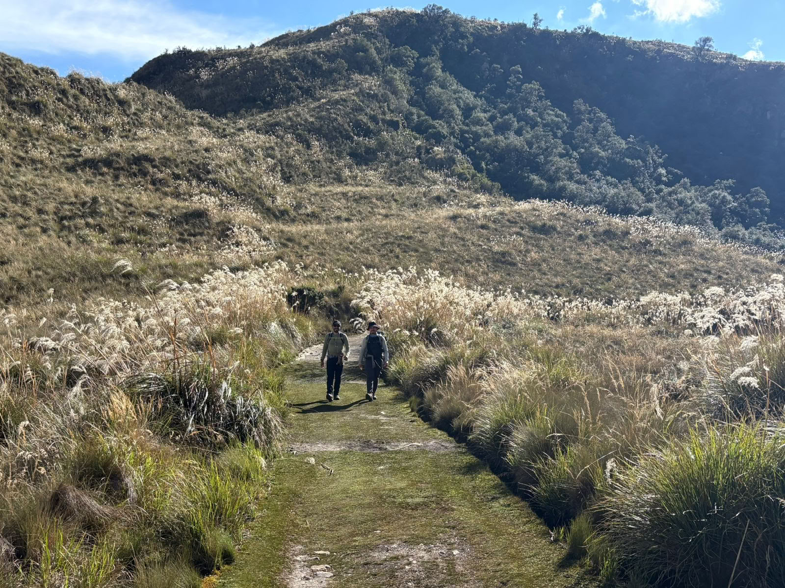 Aguacolla · San Pedro Retreat · Jun 5 – 11 2026