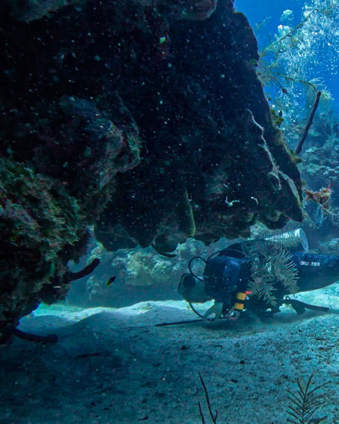 Depth & Discovery: A Mahai Dive Expedition