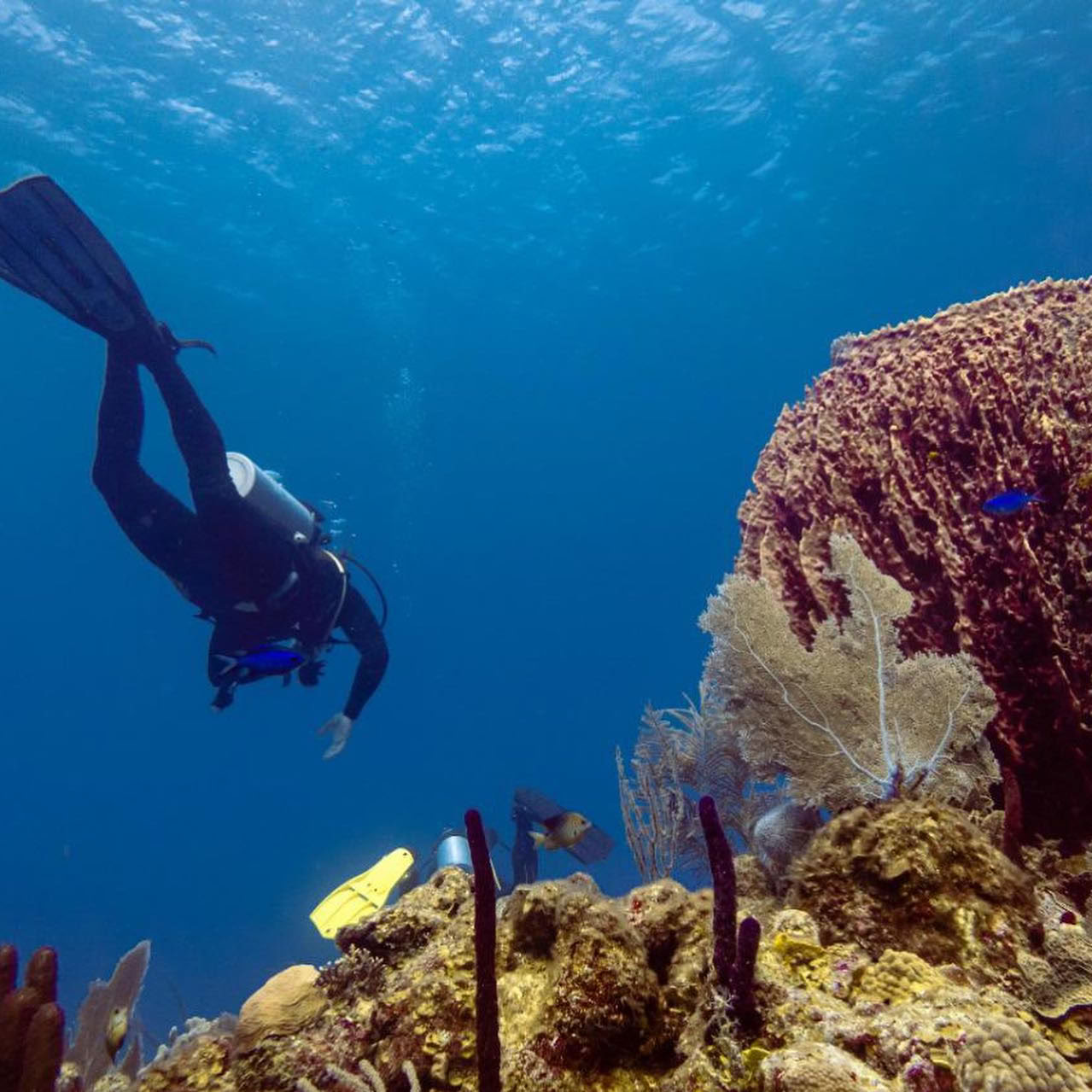 Depth & Discovery: A Mahai Dive Expedition