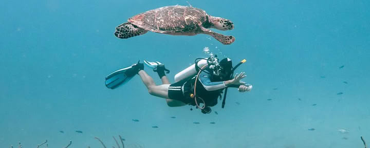 Depth & Discovery: A Mahai Dive Expedition