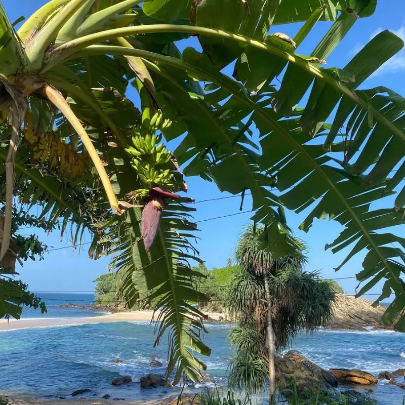 Sri Lanka Retreat – September 2026