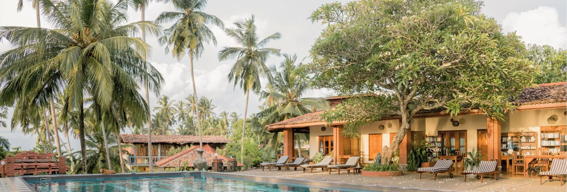 Sri Lanka Retreat – September 2026