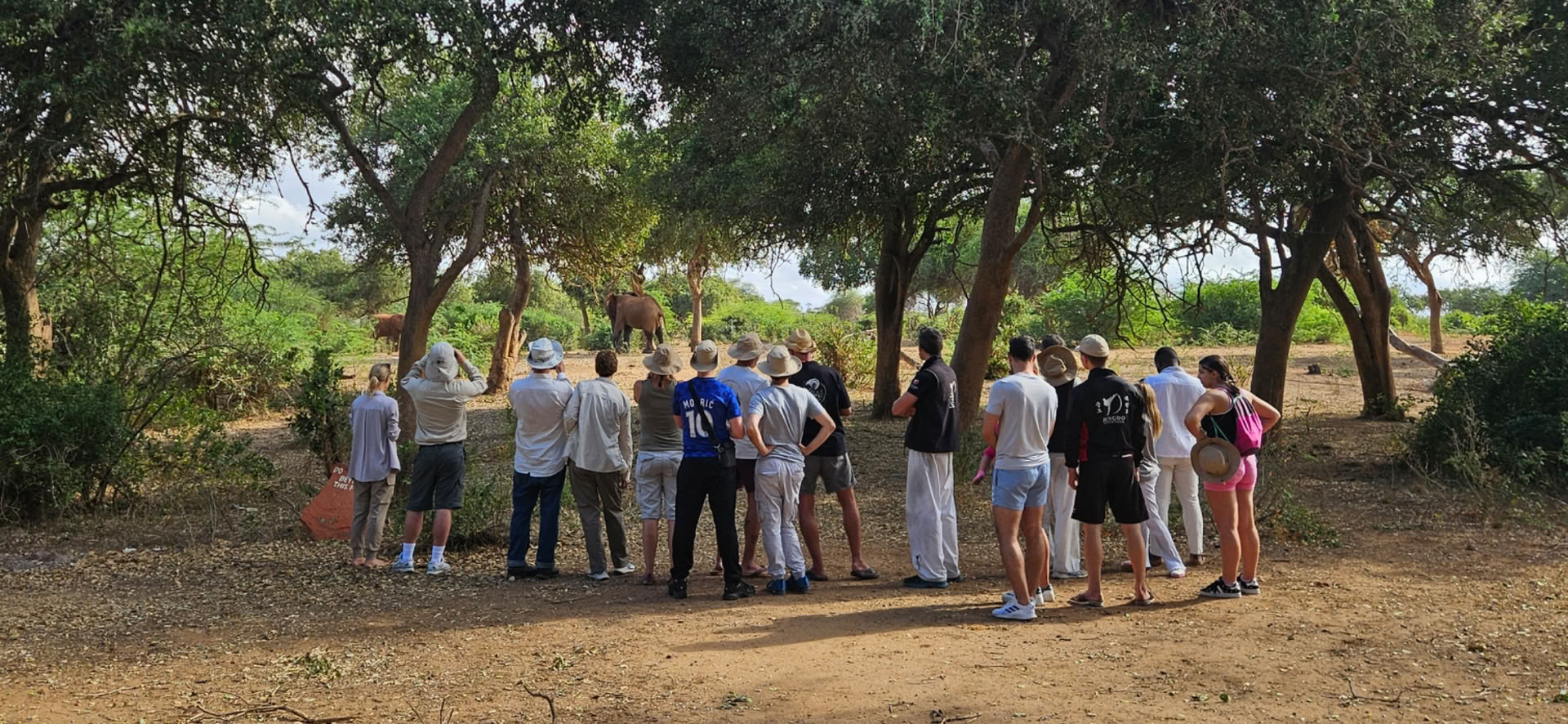 The Reconnection Retreat