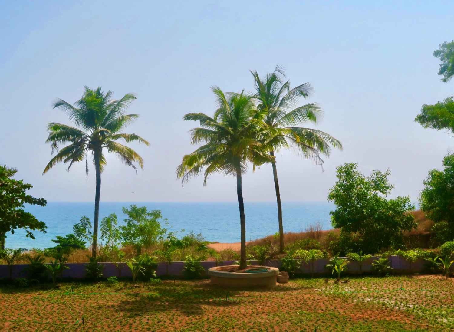 14-Day Panchakarma & Yoga Retreat in Varkala, Kerala
