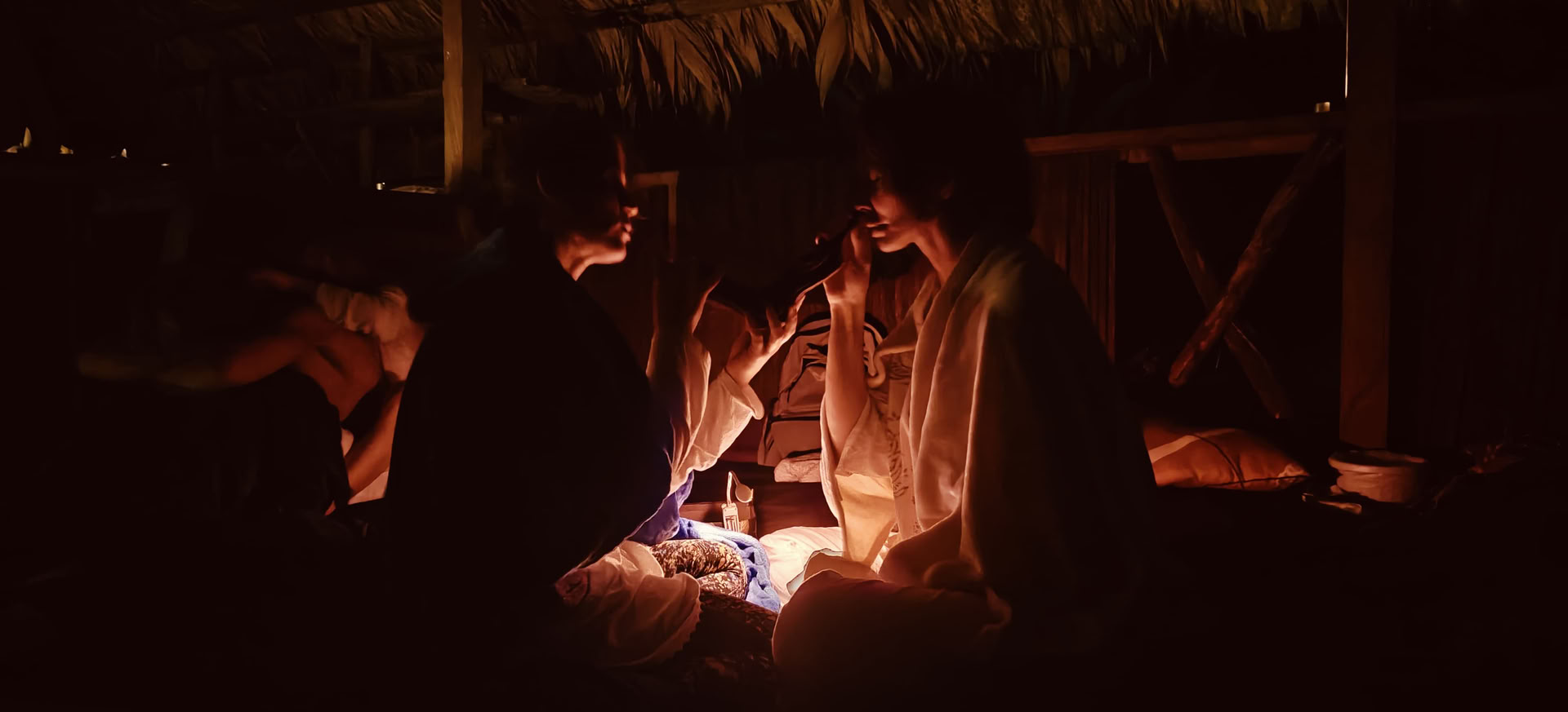 Retreat with Ayahuasca and Traditional Indigenous Medicine