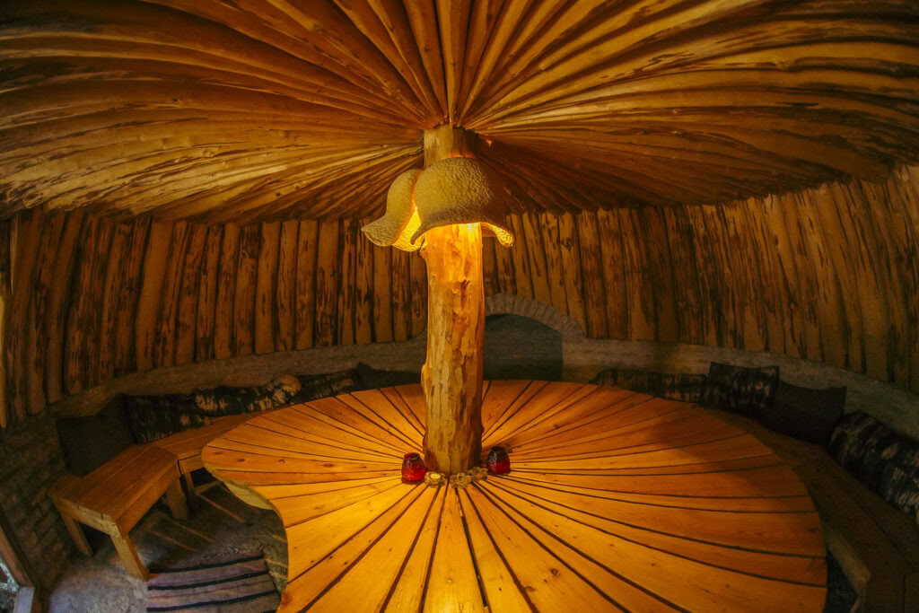 Retreat with Ayahuasca and Traditional Indigenous Medicine