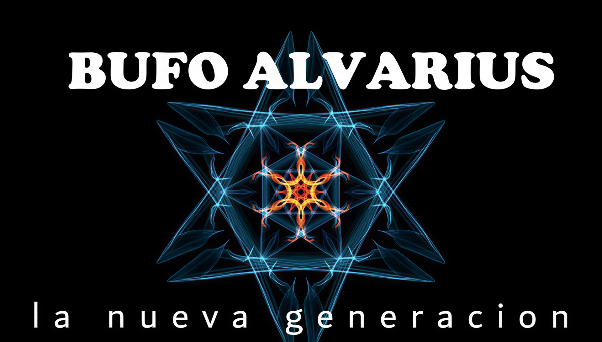 Ceremony of Bufo Alvarius