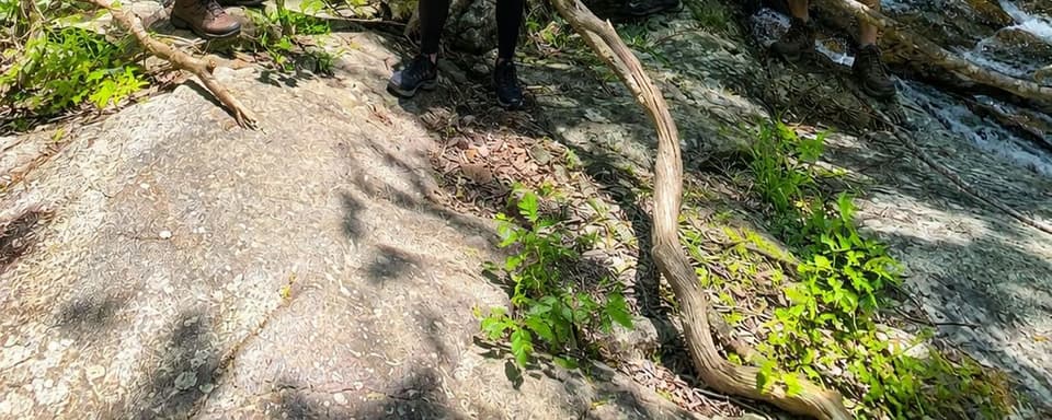 Restorative Sundays: Lake Skannatati and Yoga June 14