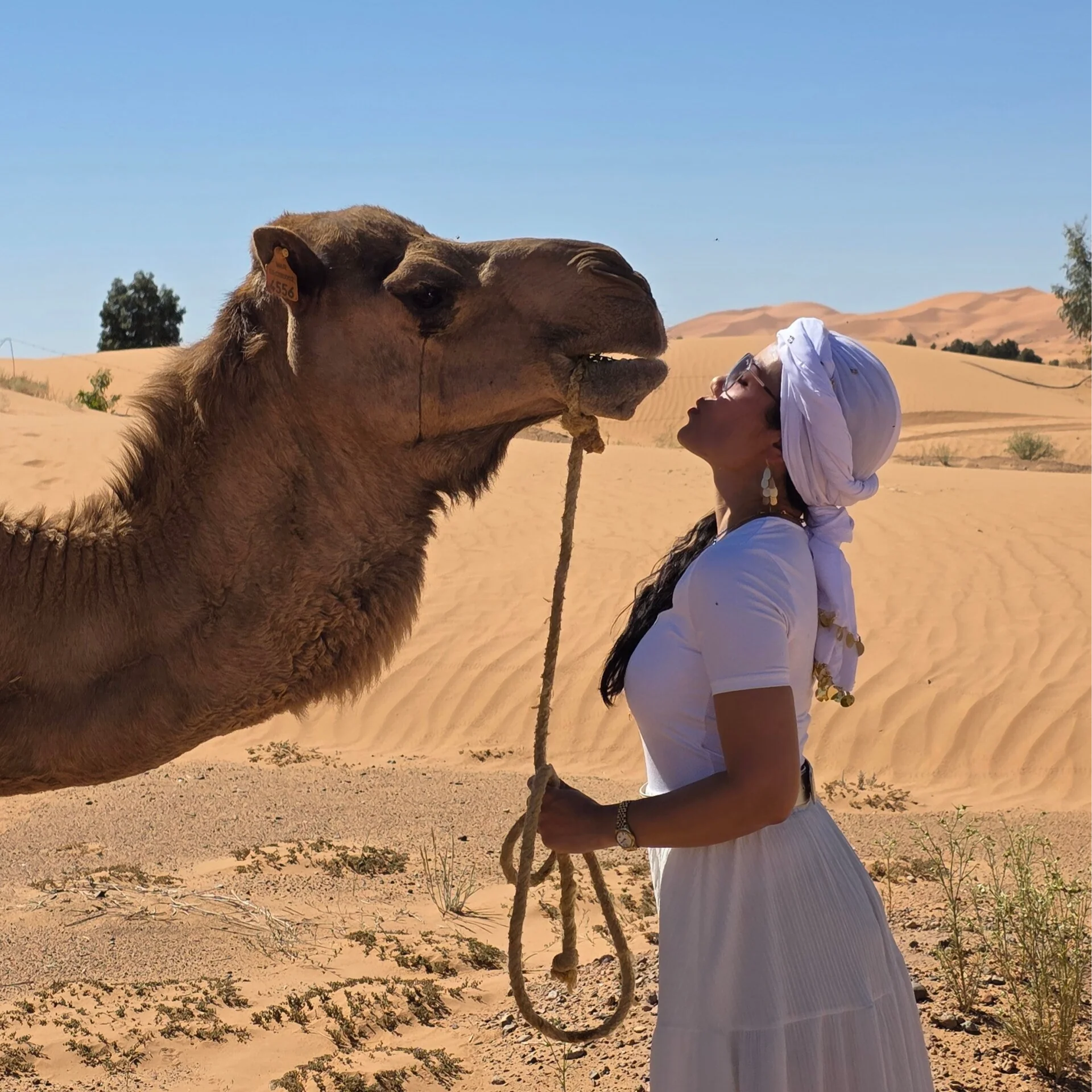 9-Day Yoga & Explore Desert Retreat