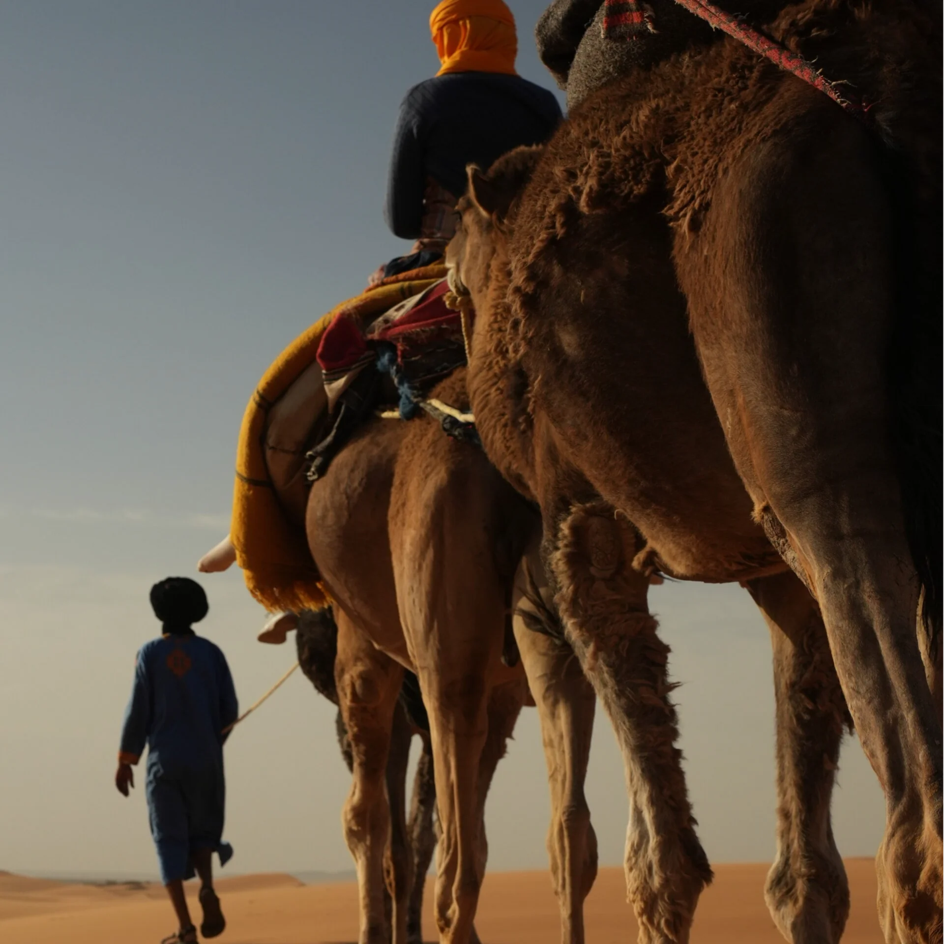 4-Day Authentic Moroccan Desert Retreat – Yoga, Nomadic Culture