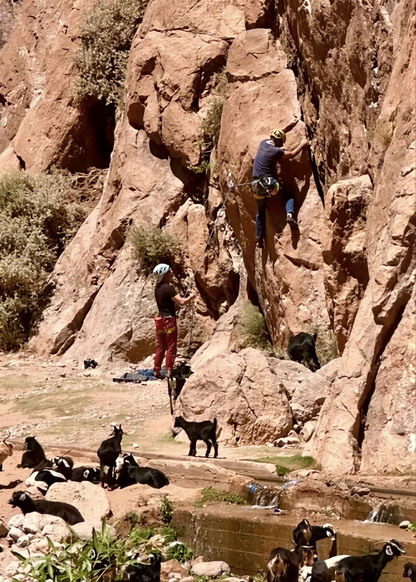 7 Day Return to Your Roots Yoga & Hiking Retreat in Imlil (copy)