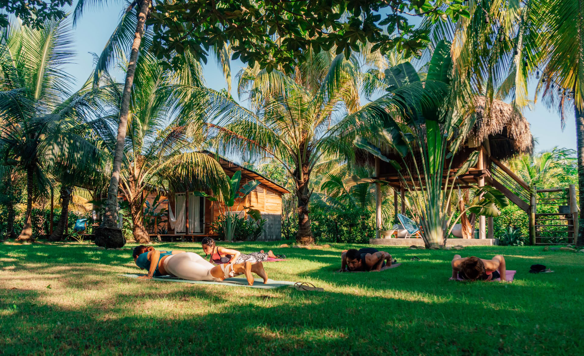 Yoga teacher training 200h
