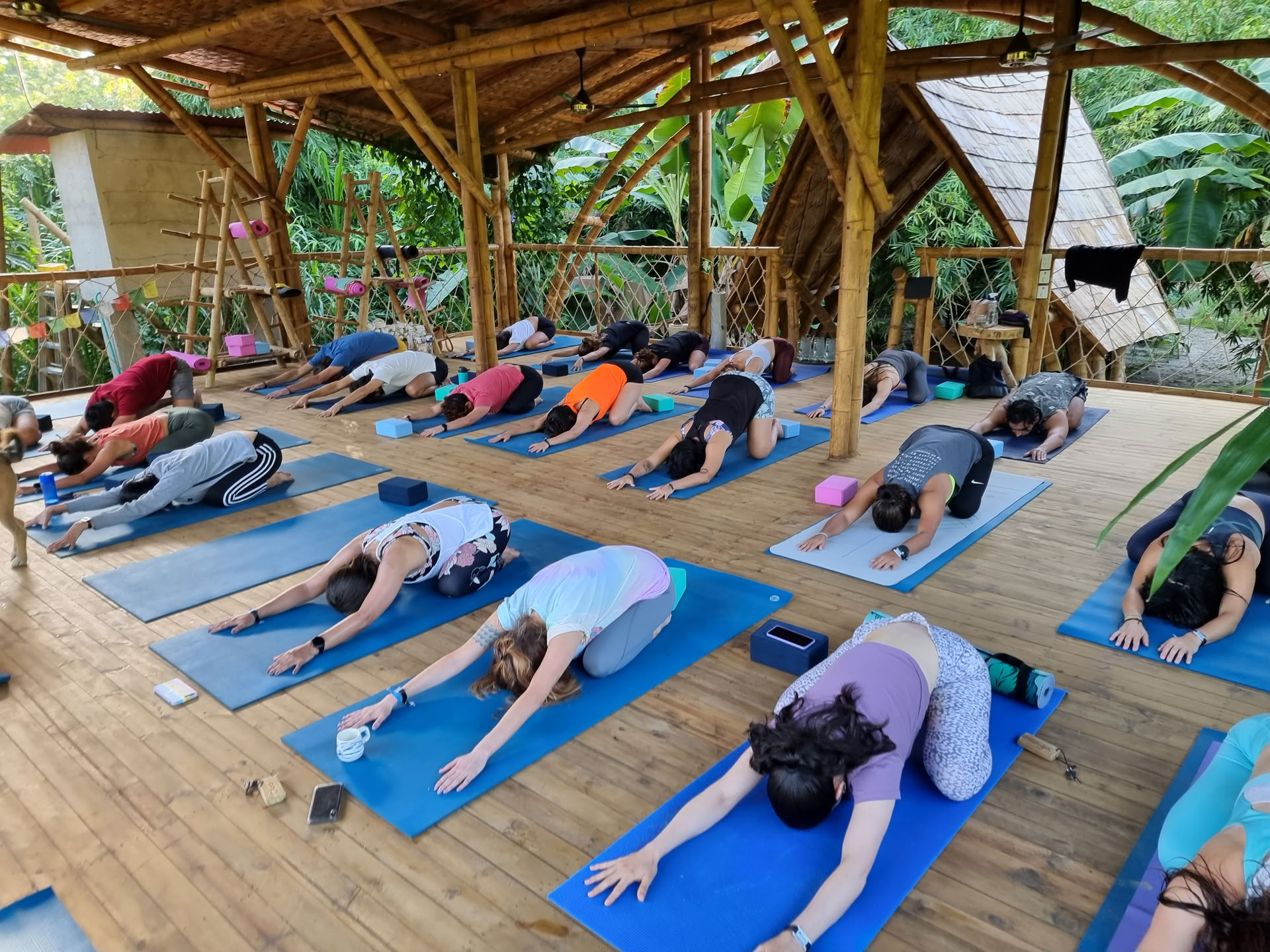 Yoga teacher training 200h
