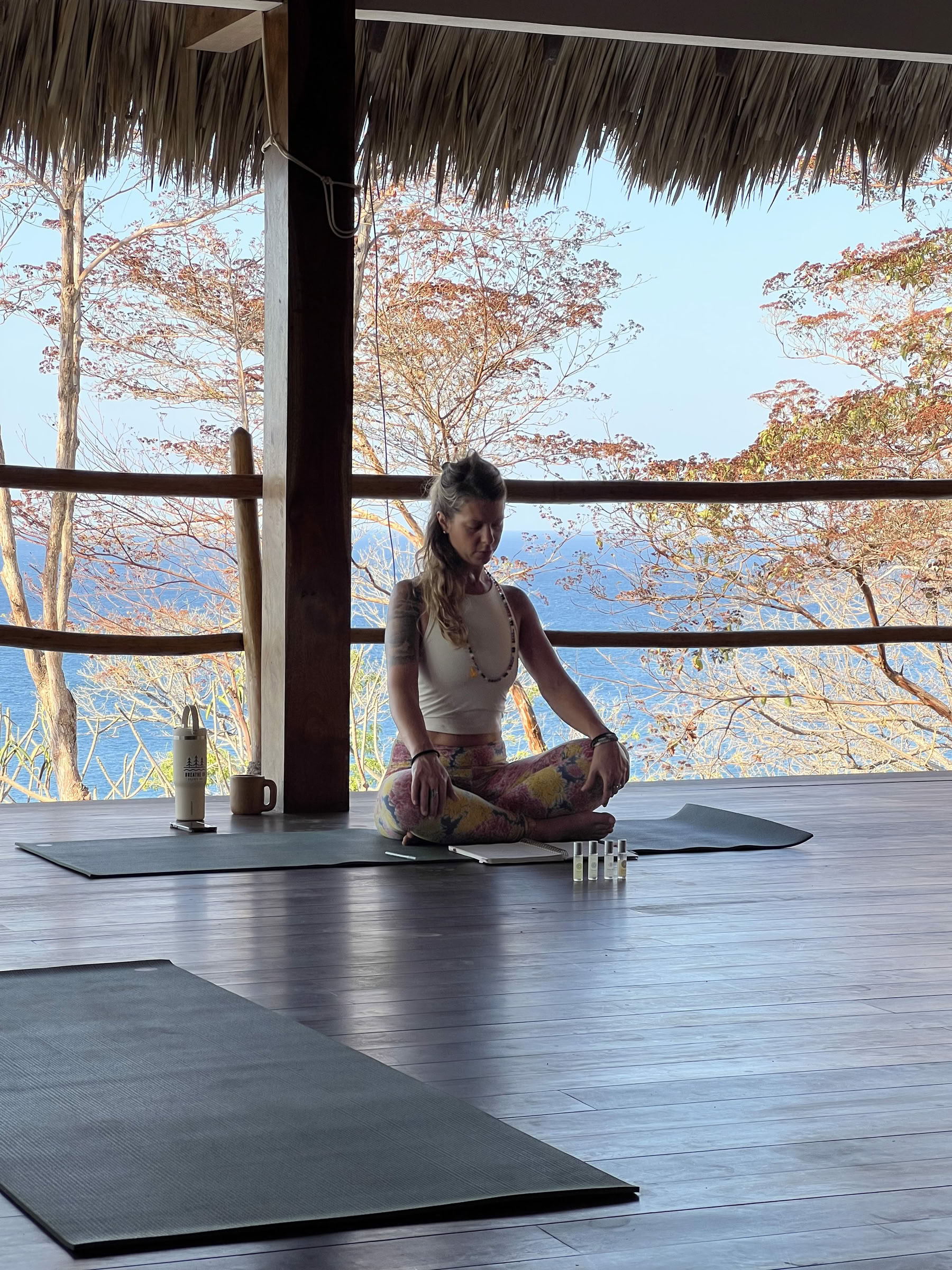 Usui Reiki and Yoga Retreat — Mother of Pearl Healing Center