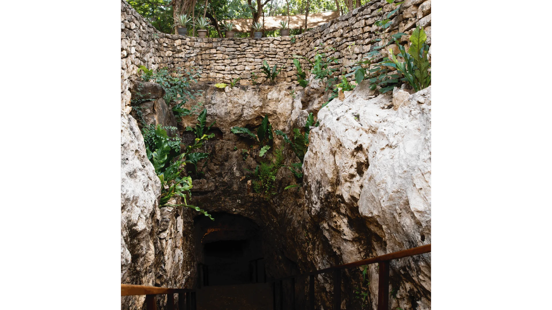 Water and Fire – Cenote and Temazcal