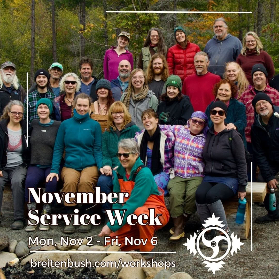 November Service Week