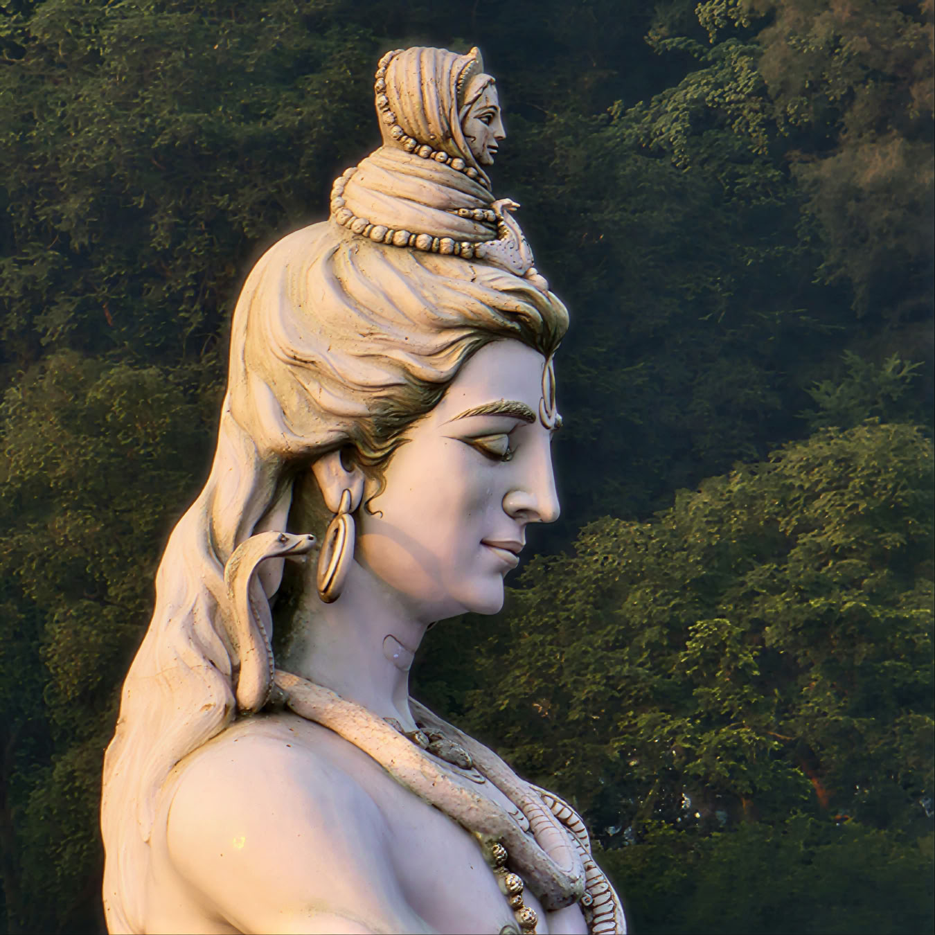 Ayurveda Detox, Sound Healing & Meditation Retreat