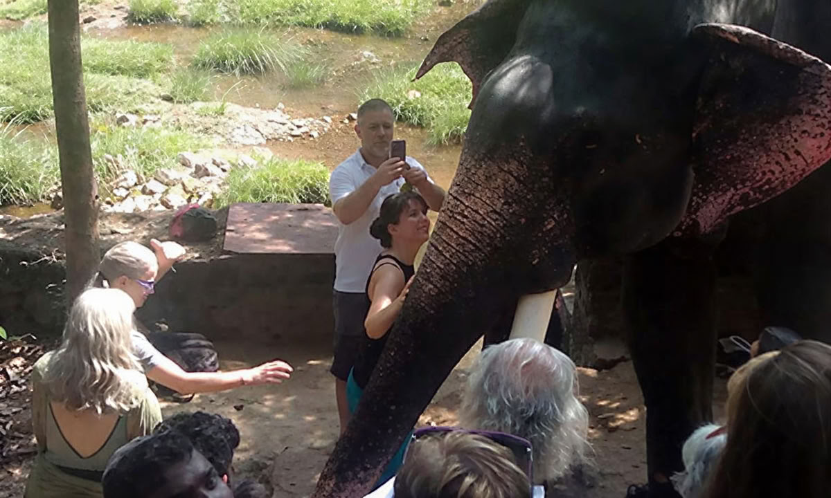 28 DAYS' PANCHAKARMA TREATMENT IN KERALA