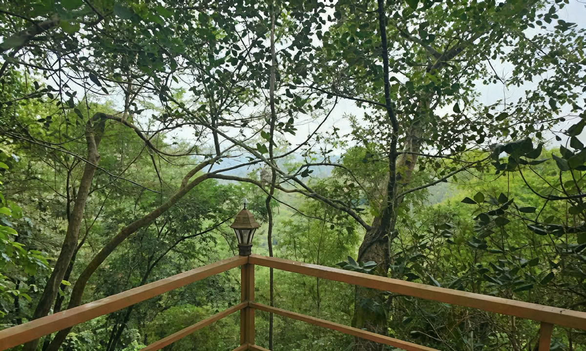 28 DAYS' PANCHAKARMA TREATMENT IN KERALA