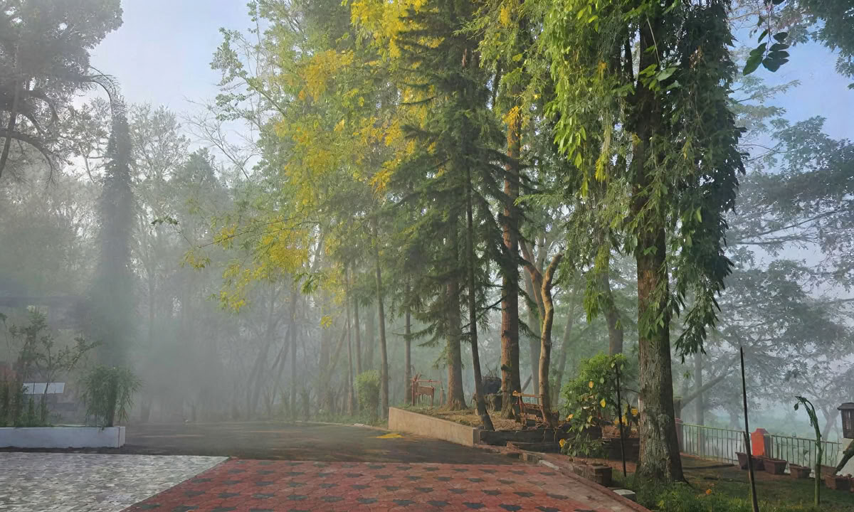 28 DAYS' PANCHAKARMA TREATMENT IN KERALA