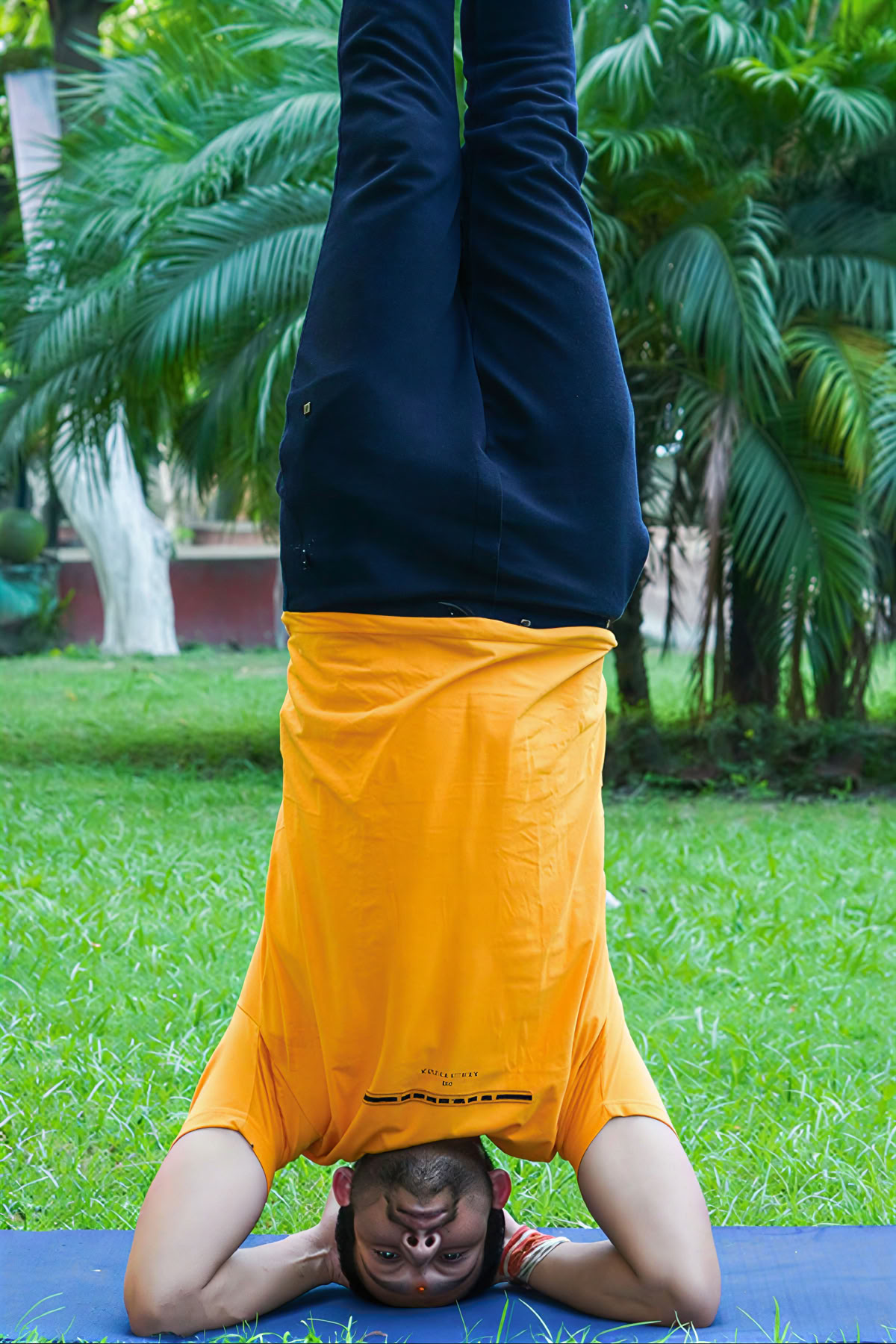 Sunshine Yoga