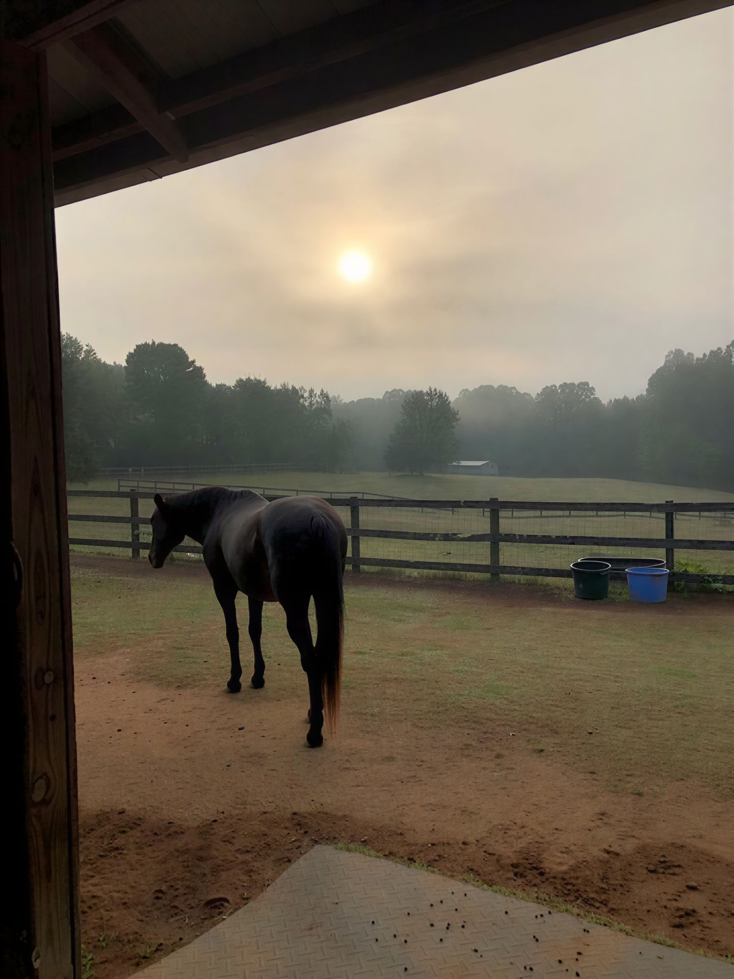 Standing in Stillness: A Unique Retreat for Attorney Well-Being
