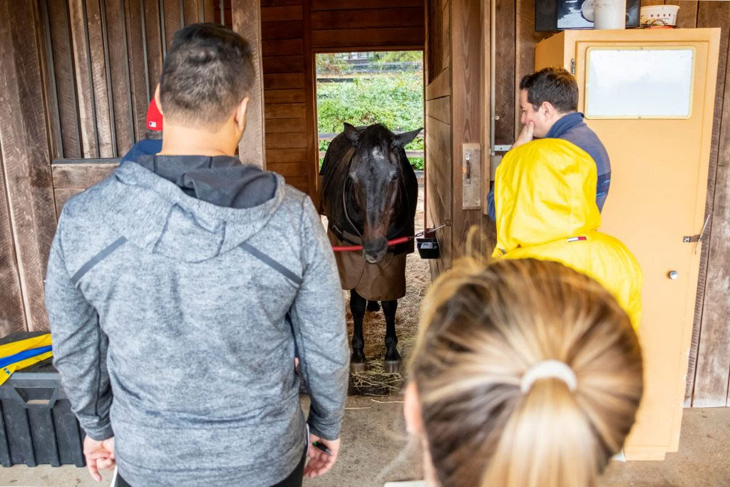 Standing in Stillness: A Unique Retreat for Attorney Well-Being