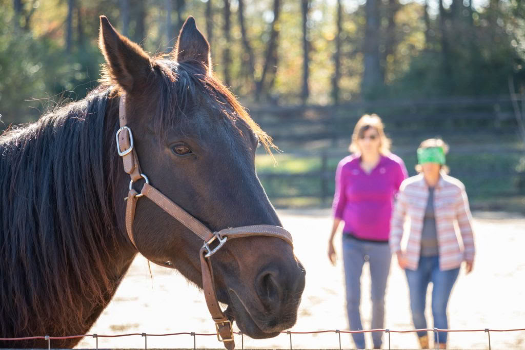 Standing in Stillness: A Unique Retreat for Attorney Well-Being