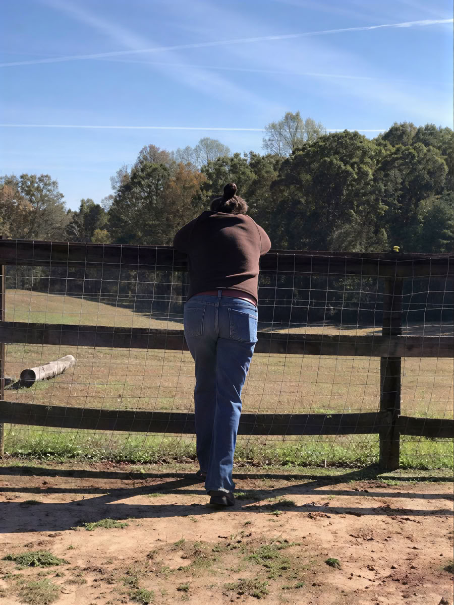 Developing Your Intuition & Wisdom Through Horses: An Attorney Well-Being Retreat