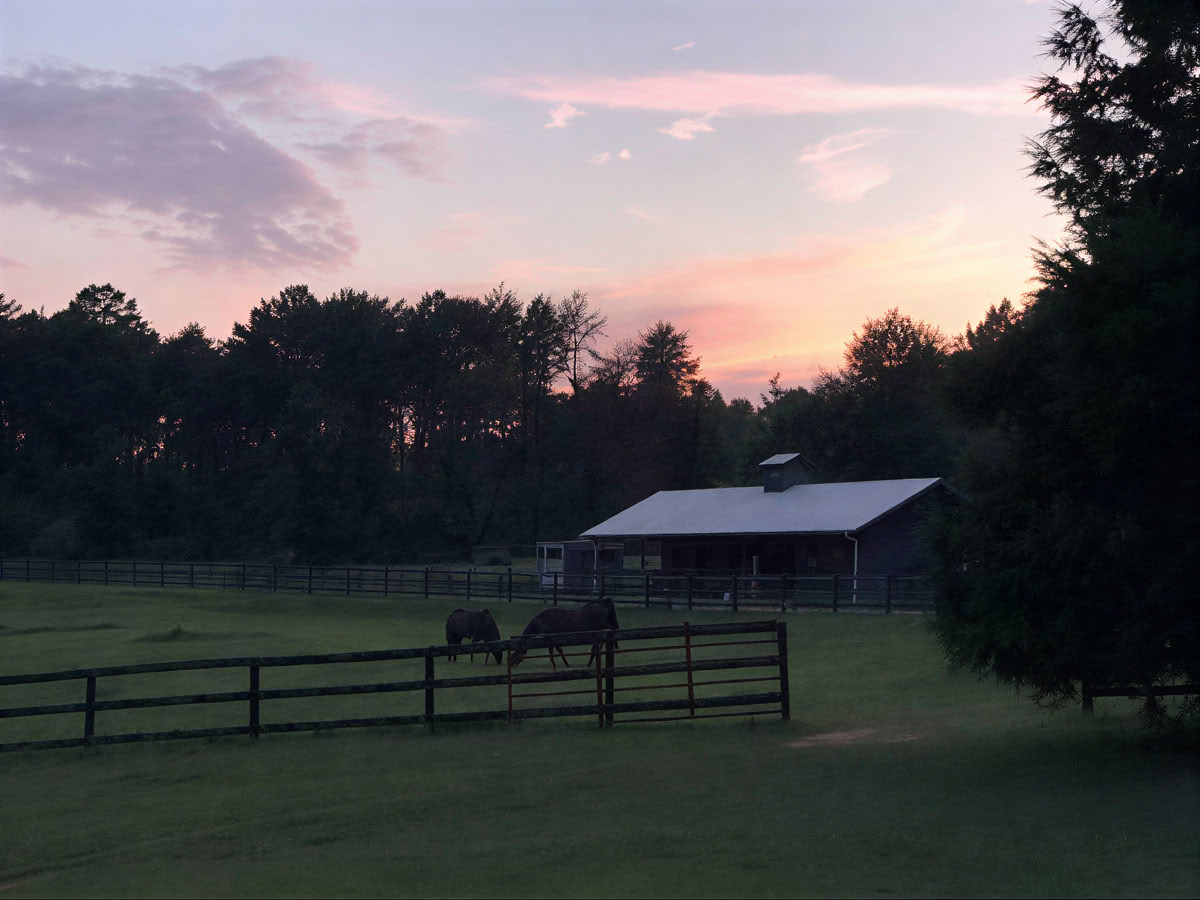 Developing Your Intuition & Wisdom Through Horses: An Attorney Well-Being Retreat