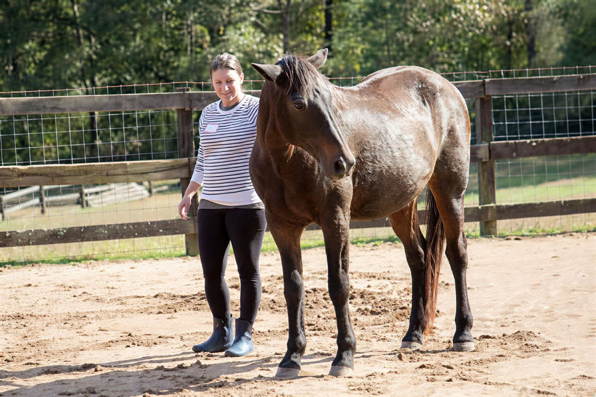 Developing Your Intuition & Wisdom Through Horses: An Attorney Well-Being Retreat