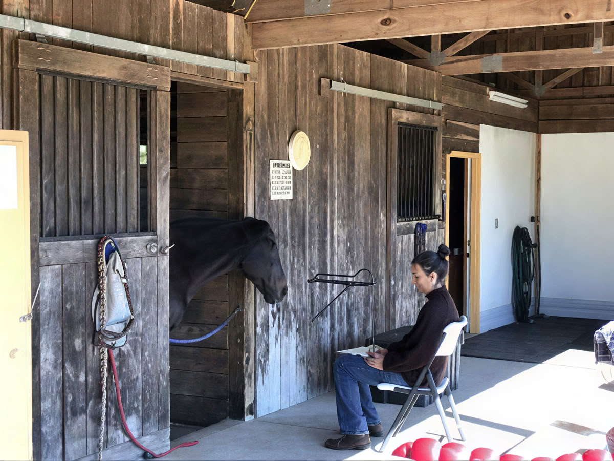 Retreat Returnees 4 Day Next Level Experiential Learning Women’s Horse Retreat