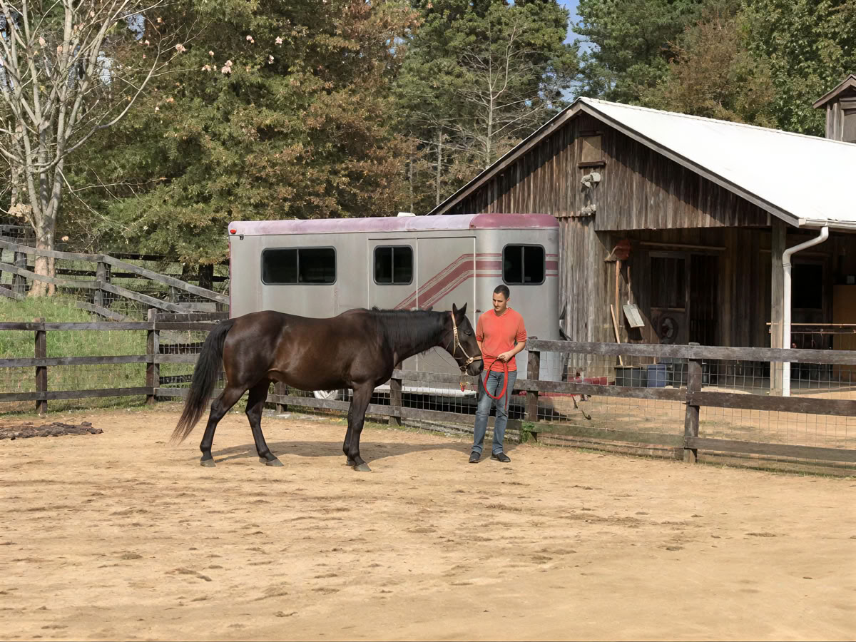 Retreat Returnees 4 Day Next Level Experiential Learning Women’s Horse Retreat