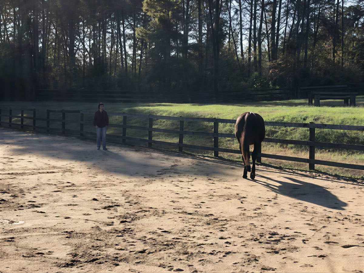 Retreat Returnees 4 Day Next Level Experiential Learning Women’s Horse Retreat