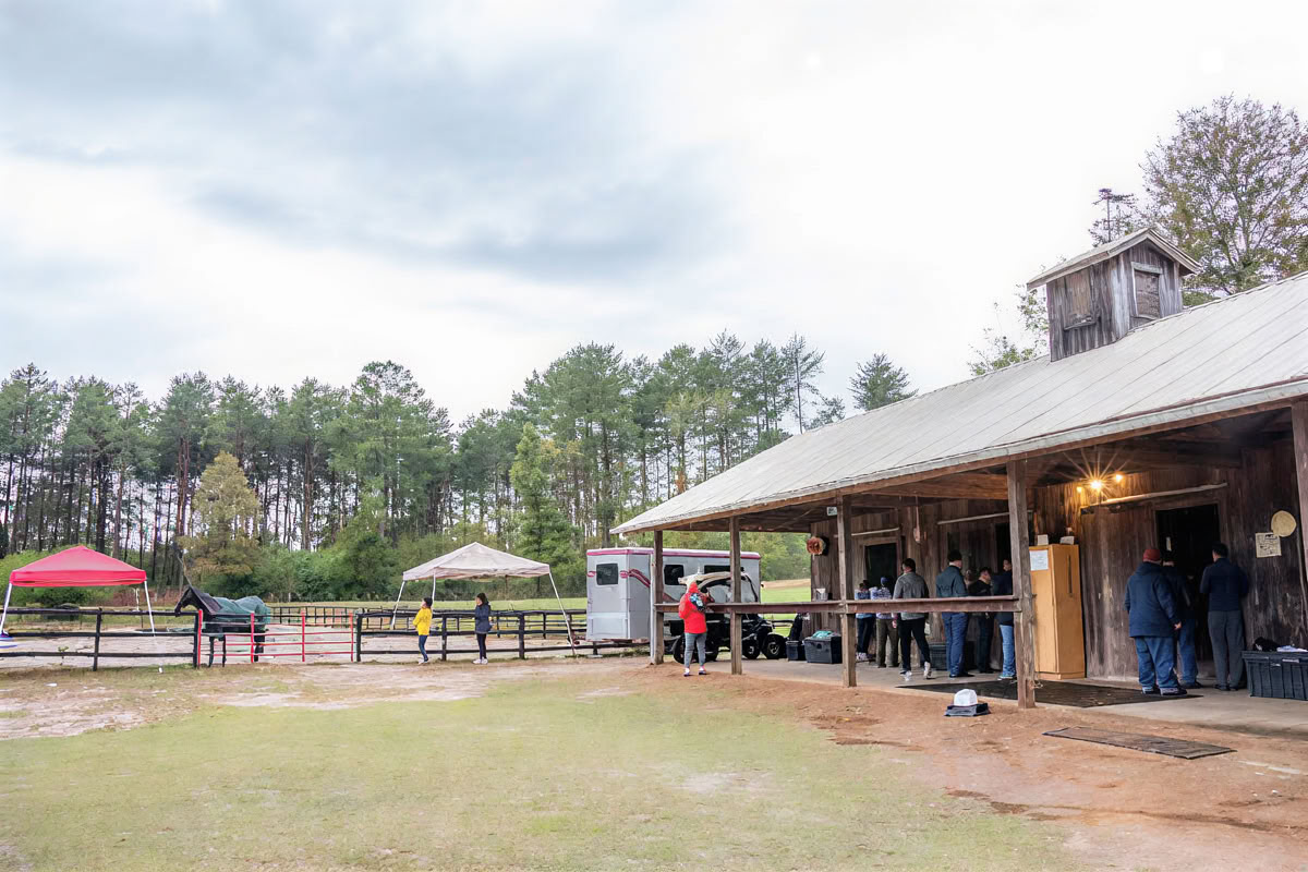 Retreat Returnees 4 Day Next Level Experiential Learning Women’s Horse Retreat