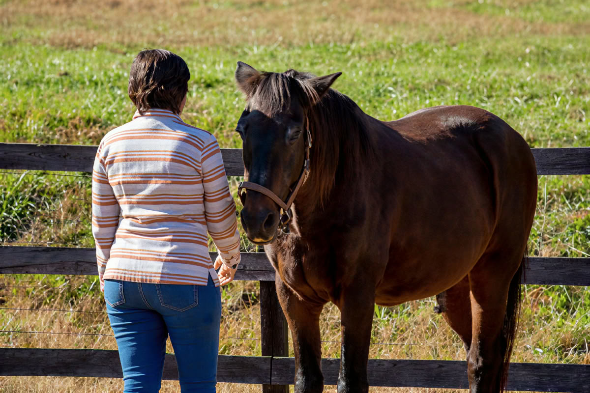 Retreat Returnees 4 Day Next Level Experiential Learning Women’s Horse Retreat