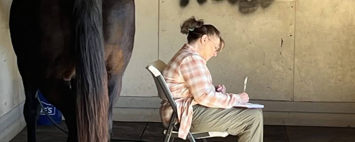 Retreat Returnees 4 Day Next Level Experiential Learning Women’s Horse Retreat