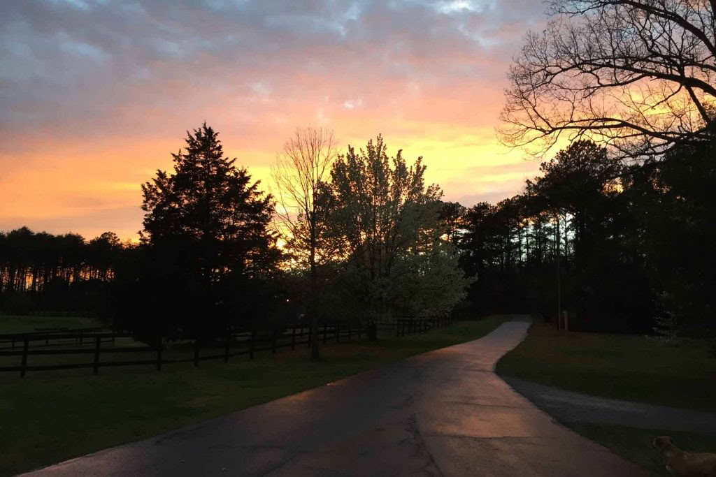 Horse Harmony: A 3 day Women’s Balance and Well-Being Retreat