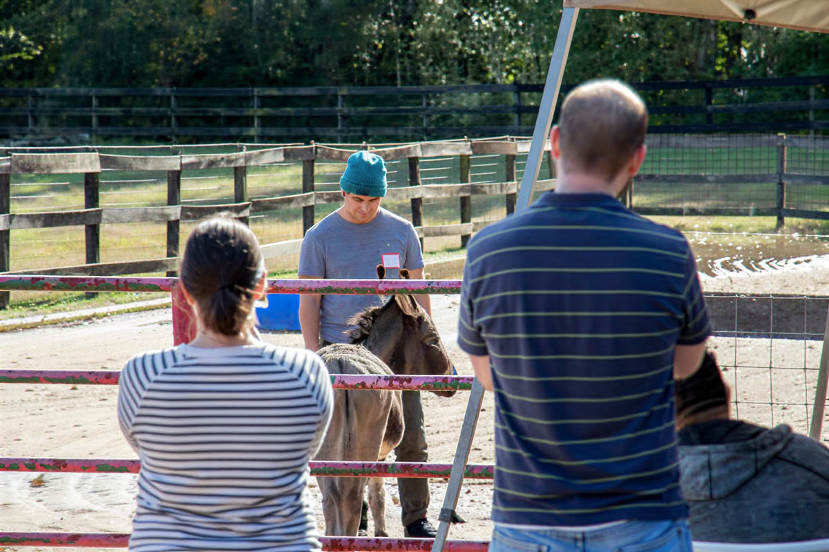 Horse Harmony: A 3 day Women’s Balance and Well-Being Retreat