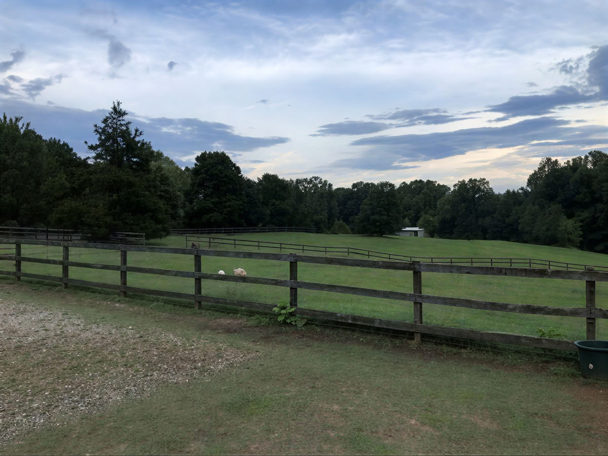 Horse Harmony: A 3 day Women’s Balance and Well-Being Retreat