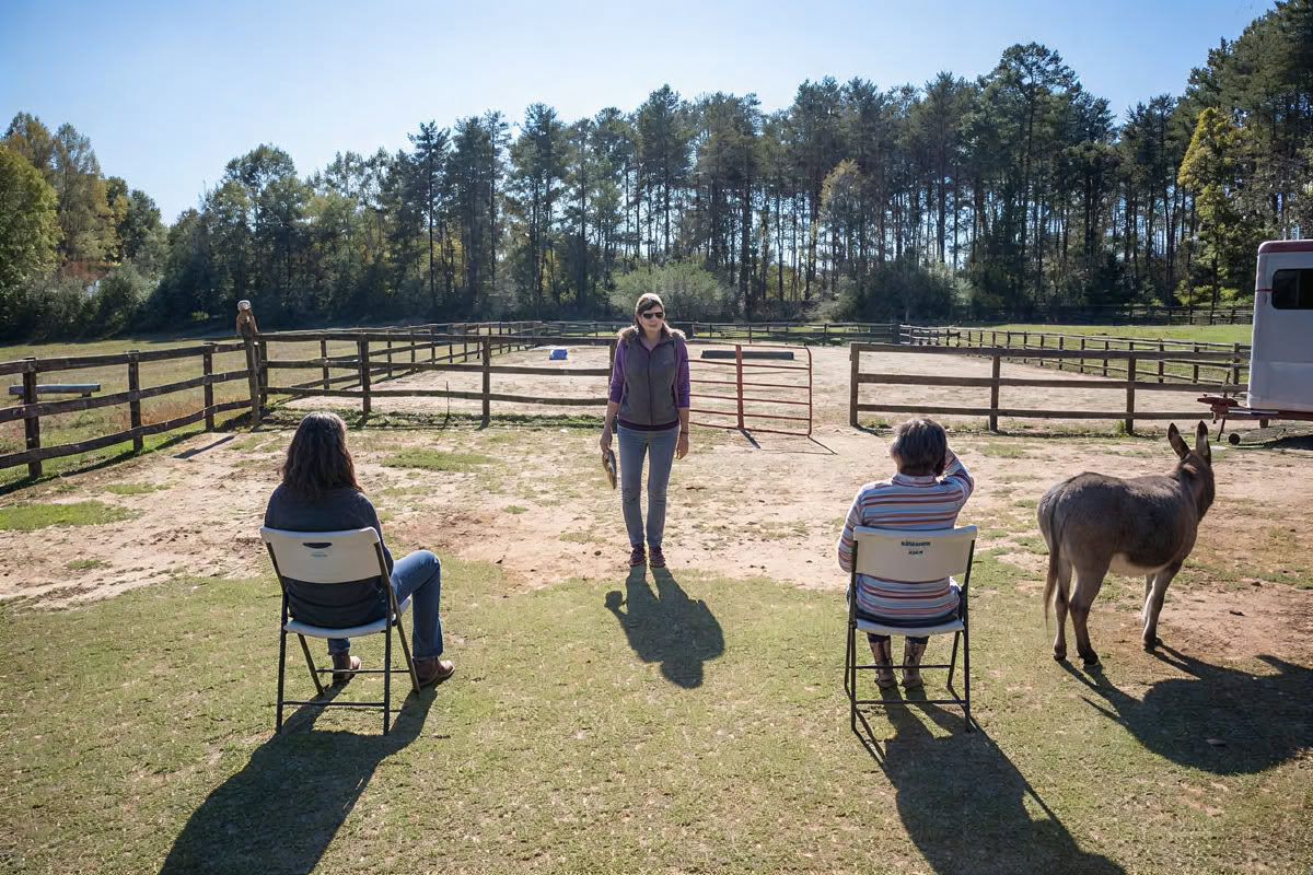 Horse Harmony: A 3 day Women’s Balance and Well-Being Retreat