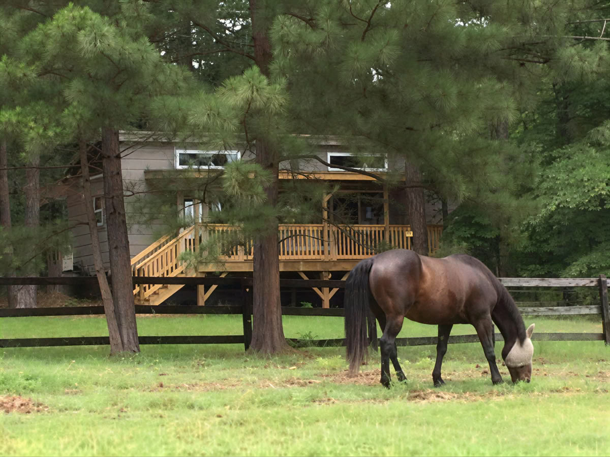 Horse Harmony: A 3 day Women’s Balance and Well-Being Retreat