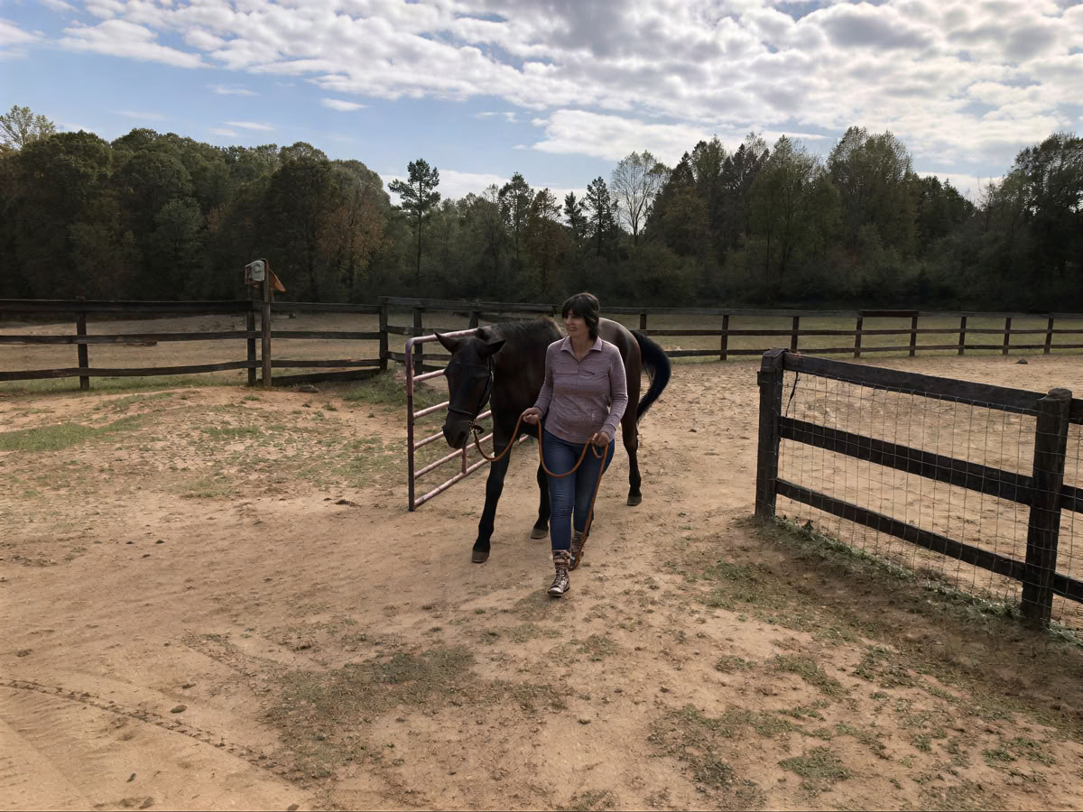 Horse Harmony: A 3 day Women’s Balance and Well-Being Retreat