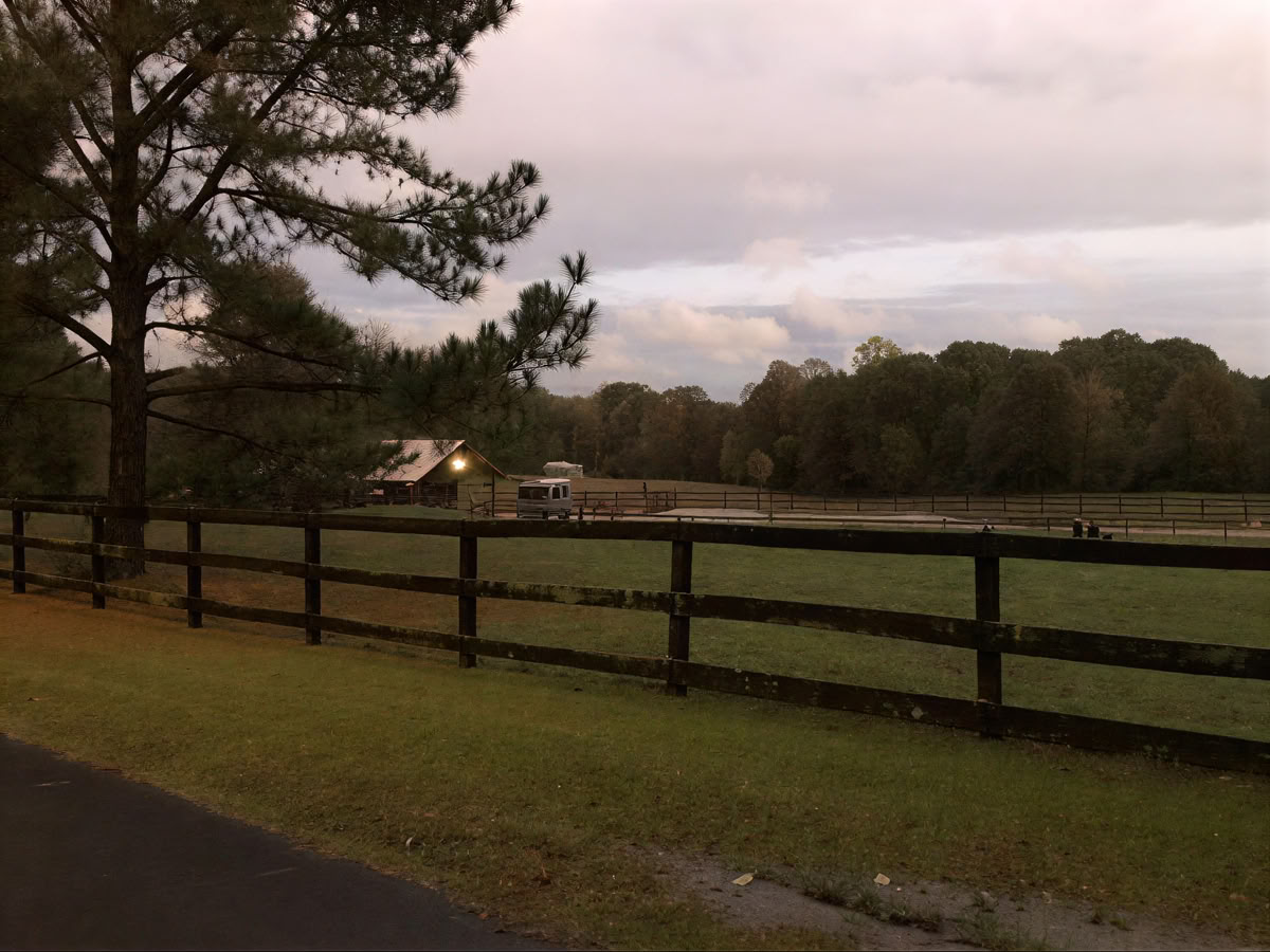 Horse Harmony: A 3 day Women’s Balance and Well-Being Retreat