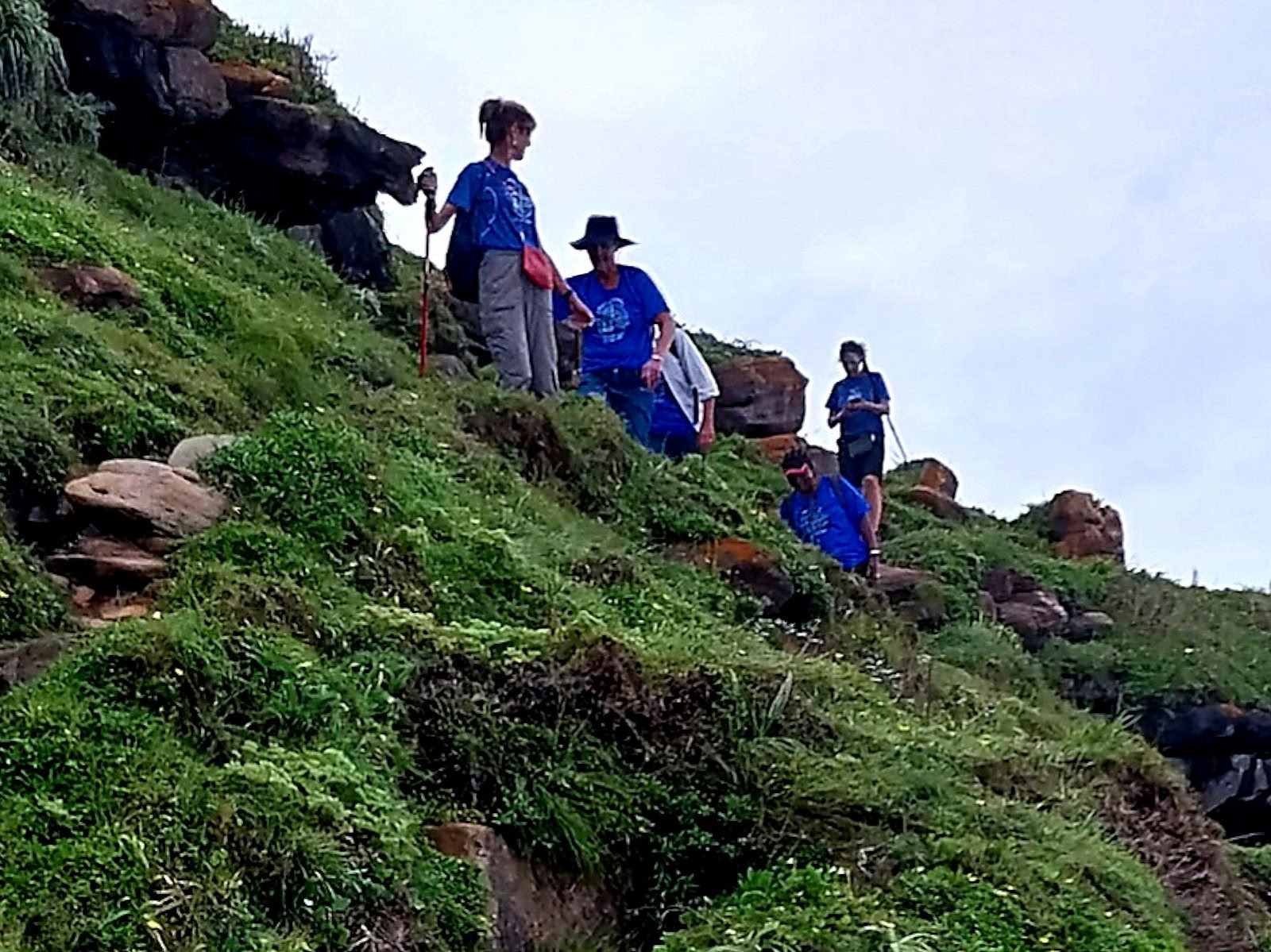 Waterfall Hikes & Tours