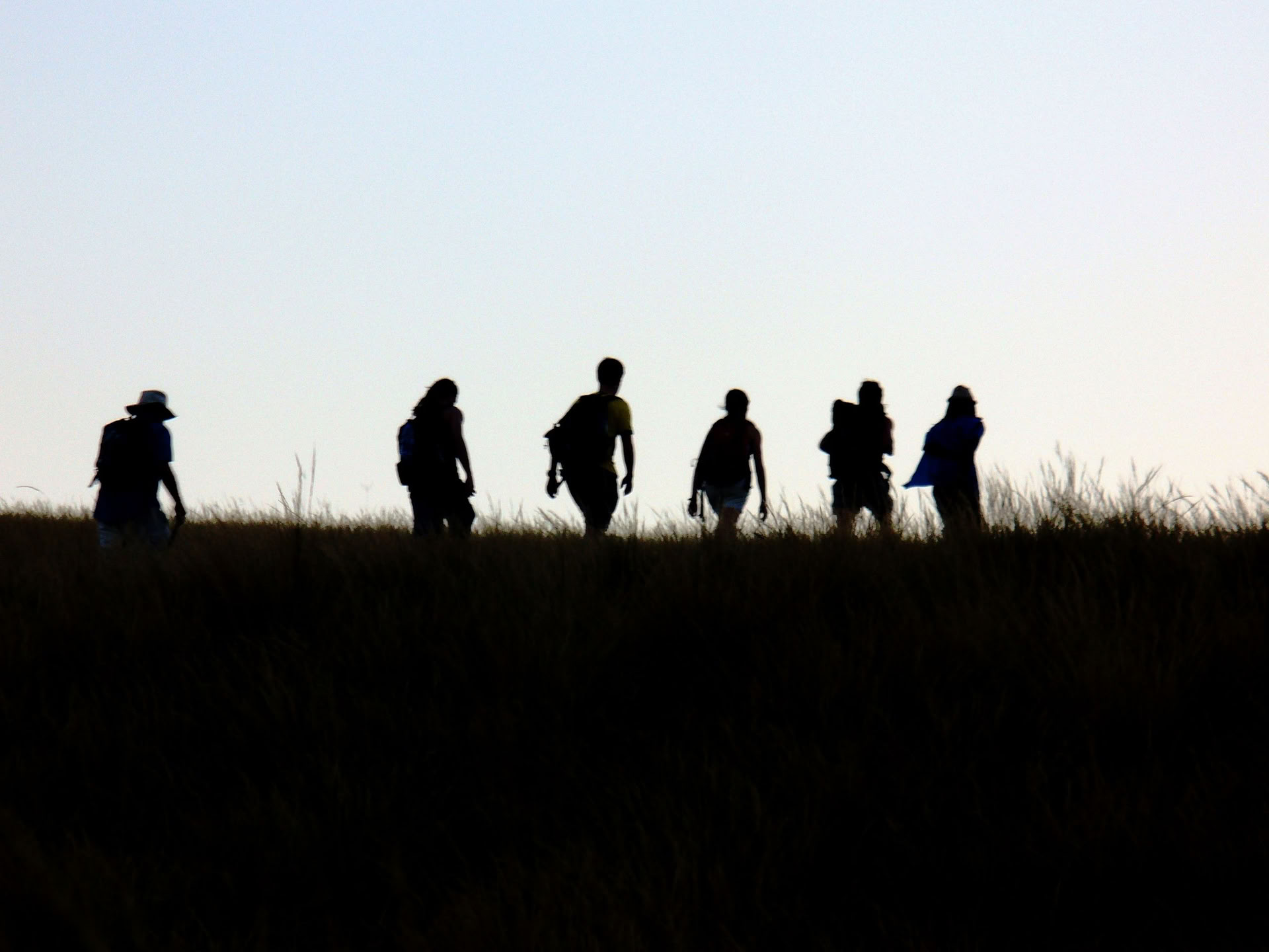 Waterfall Bluff Safari & Hike