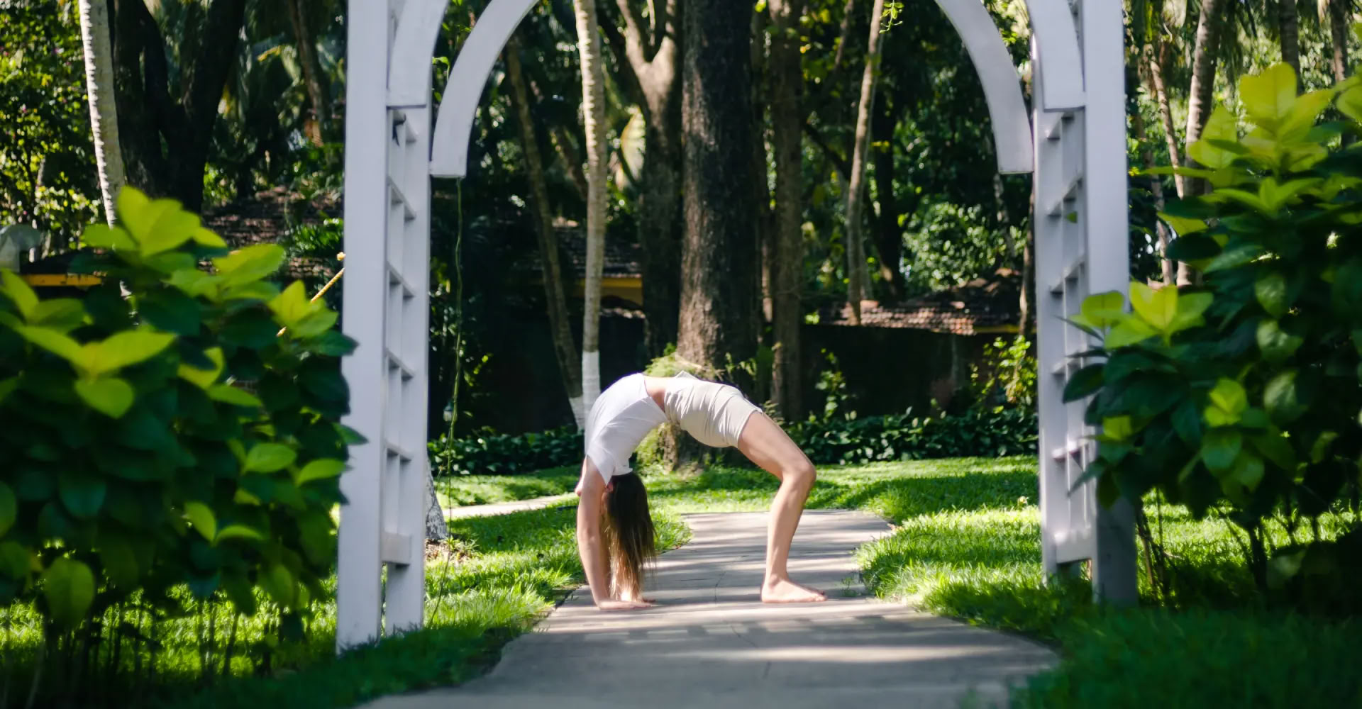 Digestive Wellness & Gut Health Yoga Therapy Agni Dipanam Yoga Chikitsa