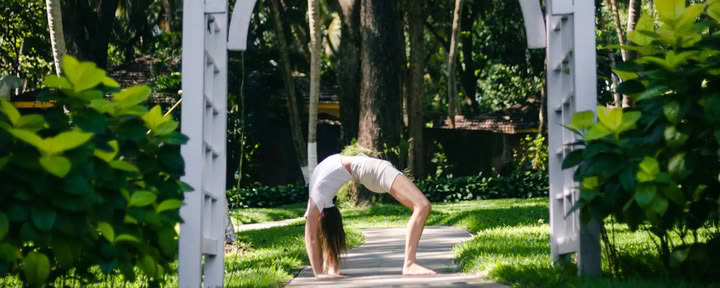 Digestive Wellness & Gut Health Yoga Therapy Agni Dipanam Yoga Chikitsa