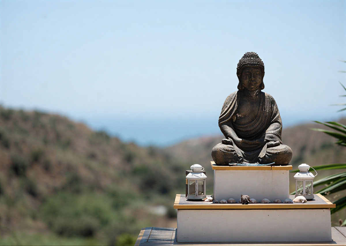Iyengar Yoga Retreat with Annie Deery
